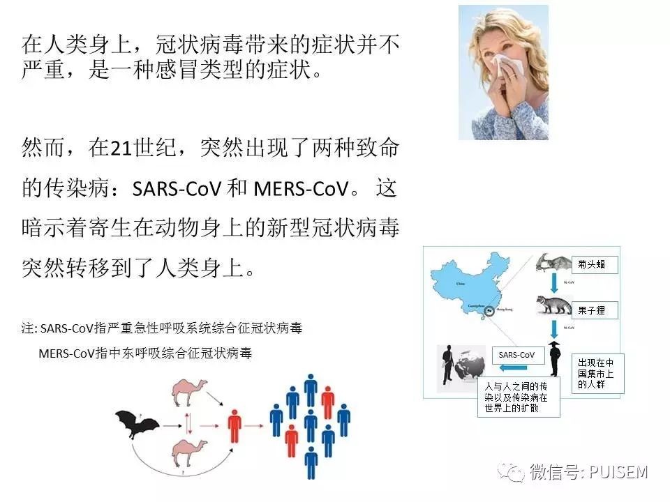 新发病症，探索未知健康挑战之路