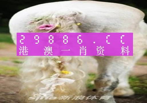 新澳门一肖一码中恃,专业调查具体解析_L版33.169