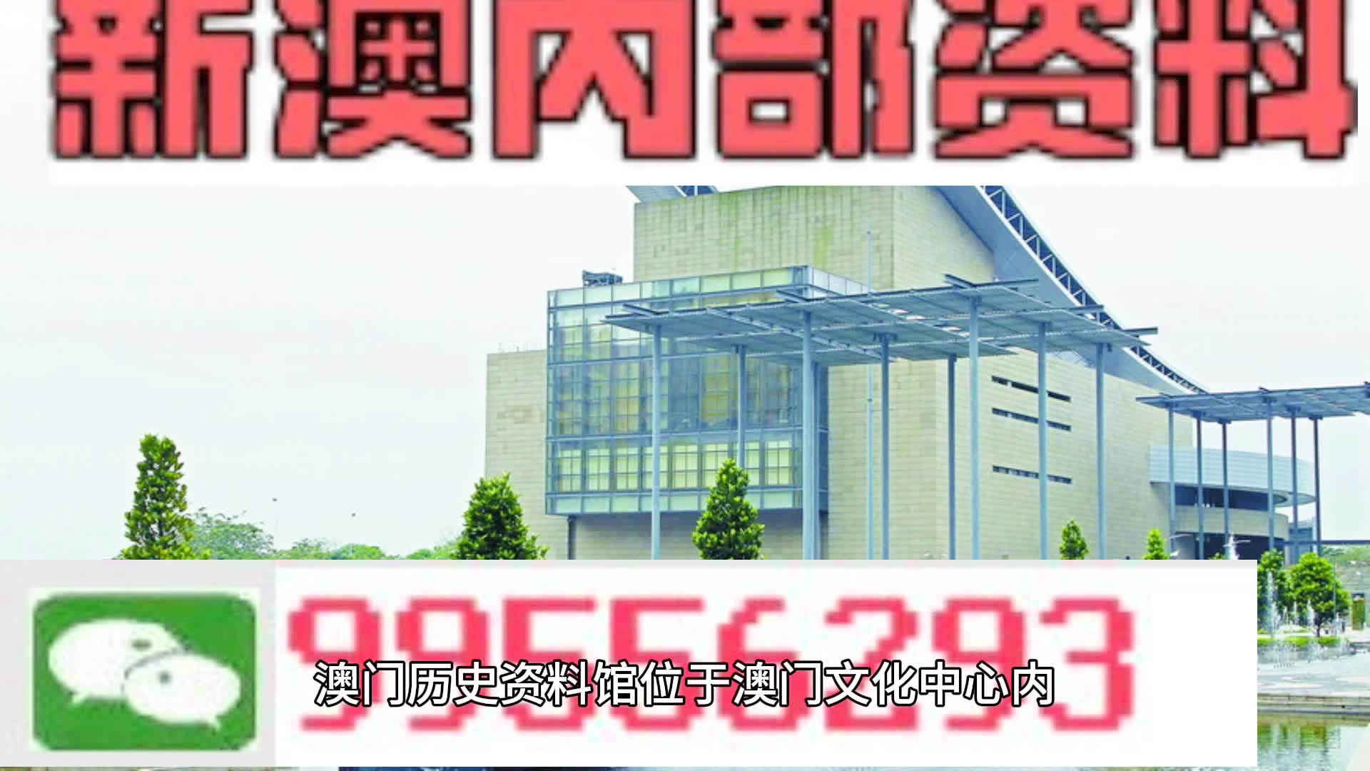 新澳门资料免费长期公开,2024,精准解答方案详解_设计师版61.771