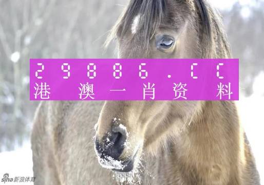 澳门一肖一码一待一中,定性解析明确评估_极致版67.851