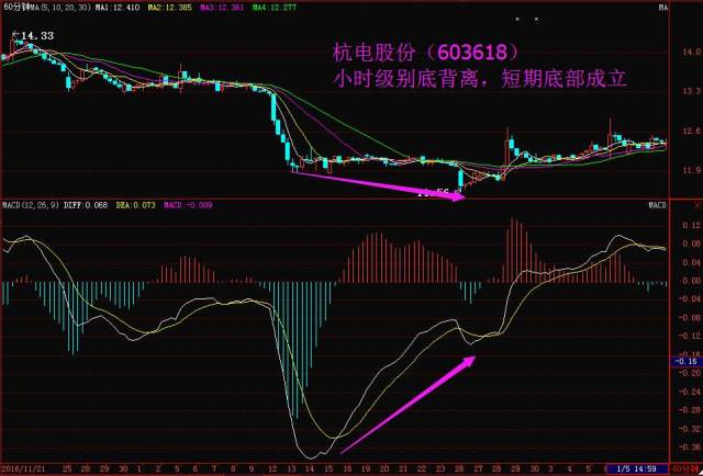 股票的起源与发展，探究股票如何产生