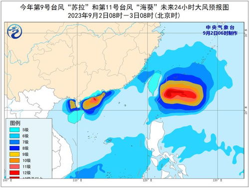 最新台风预报及其应对步骤指南