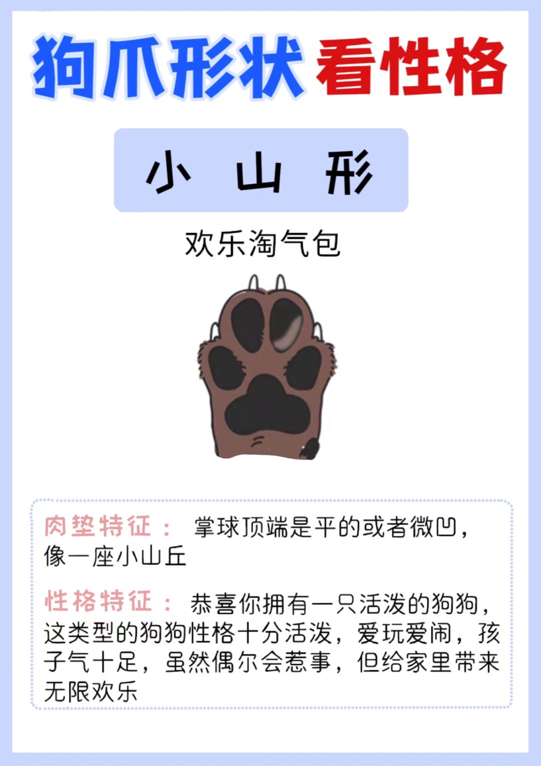 最新拇指狗，与自然美景的亲密旅行之旅