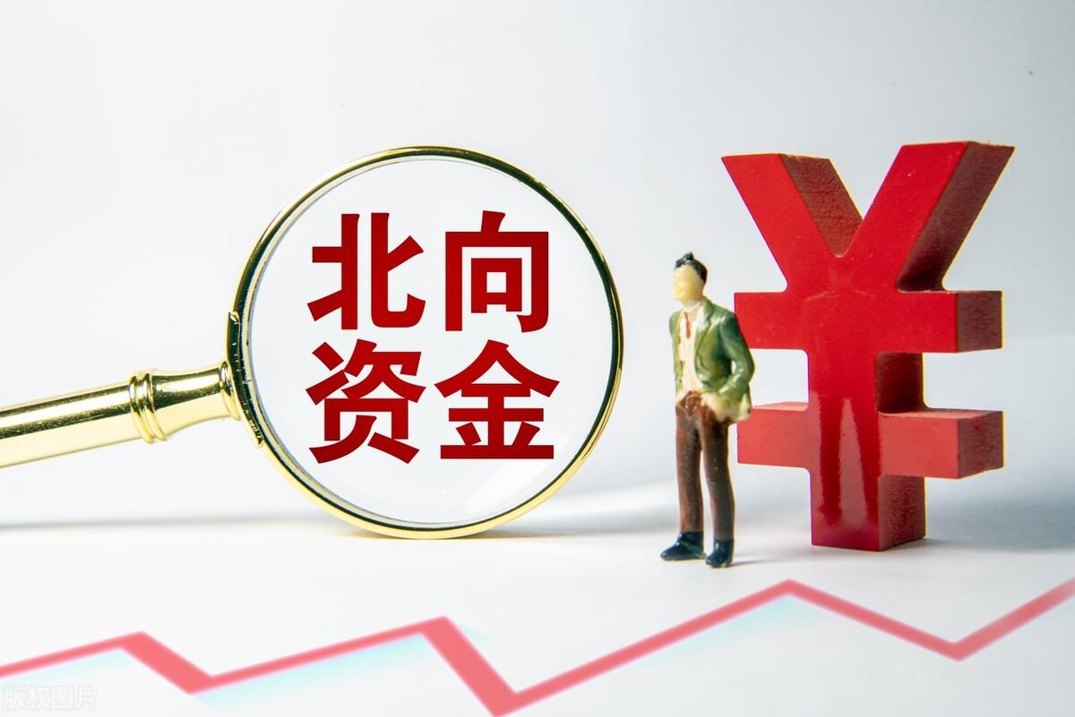 中国天楹股票，与自然共舞，探寻内心宁静与喜悦的旅程