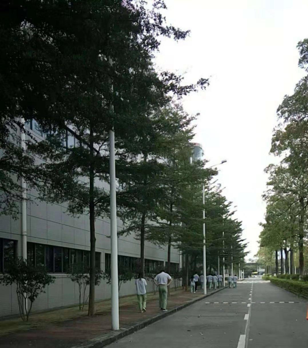 金立最新重组深度分析与观点阐述