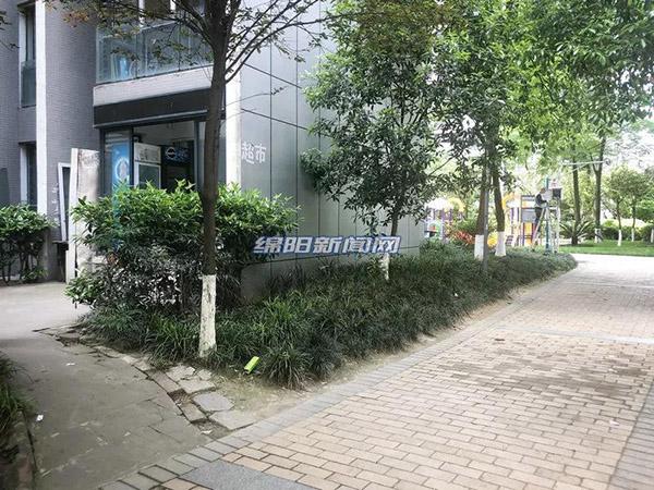 探索新时代的变迁与机遇，最新进出肖动态报道
