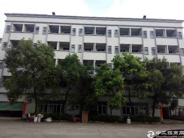 常平镇最新概况概览
