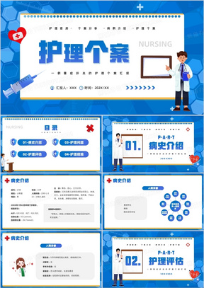 个案护理最新PPT探索自然美景与内心平和之旅