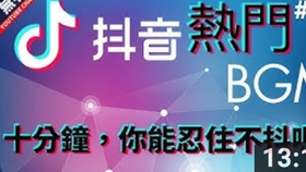 最新抖音歌单，旋律中的自然探索与内心宁静之旅