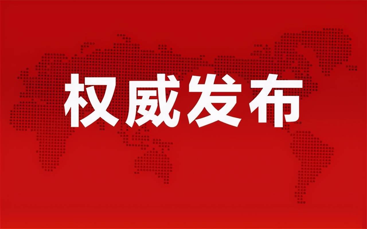 临清迅力集团最新动态，一种观点下的影响与解析