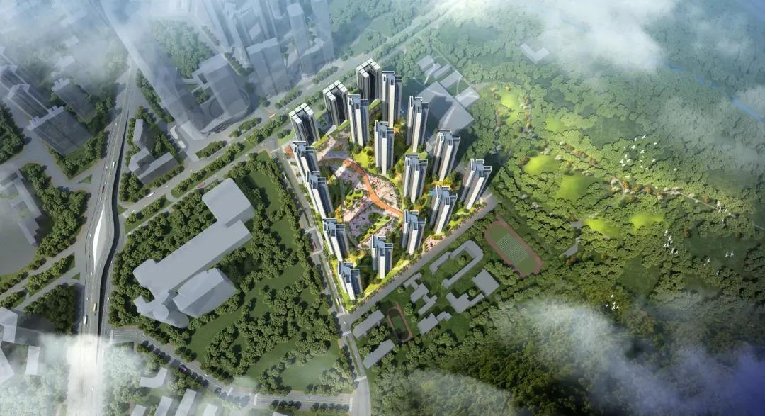 深圳福田棚改最新动态，探索自然美景，远离尘嚣的心灵之旅