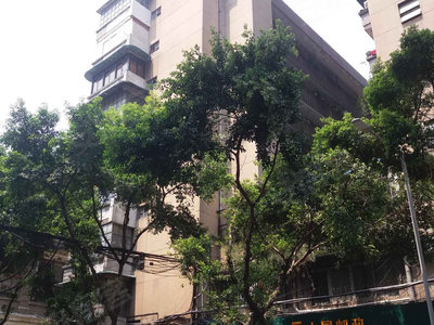 西堤头天赐园最新房价揭秘，小巷深处的惊喜探索