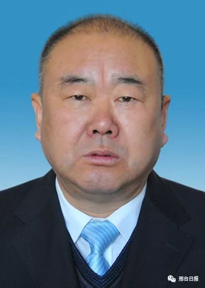 官渡区新任领导杨志华，日常故事中的友情纽带与任命之旅