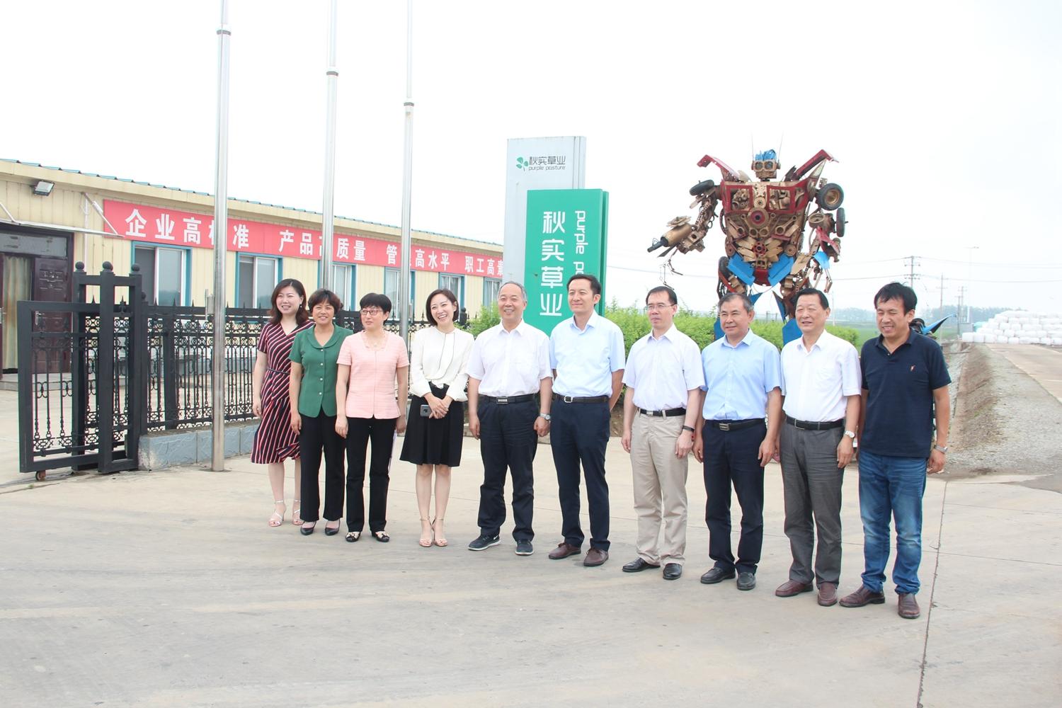 秋实草业会上市吗,秋实草业会上市吗？步骤指南