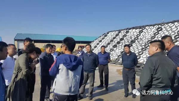 秋实草业会上市吗,秋实草业会上市吗?步骤指南